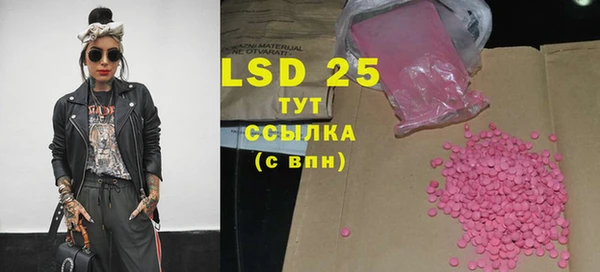 прущие грибы Козловка