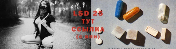 прущие грибы Козловка