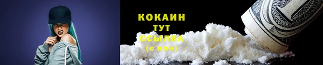 СК Кодинск