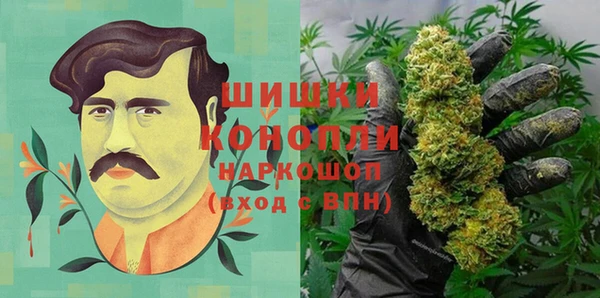 СК Кодинск