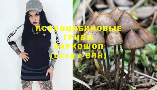 прущие грибы Козловка
