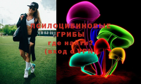 СК Кодинск