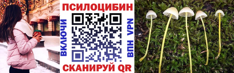 Купить закладки  Ртищево  Галлюциногенные грибы Magic Shrooms 